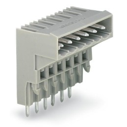Connettore WAGO maschio 10 poli
