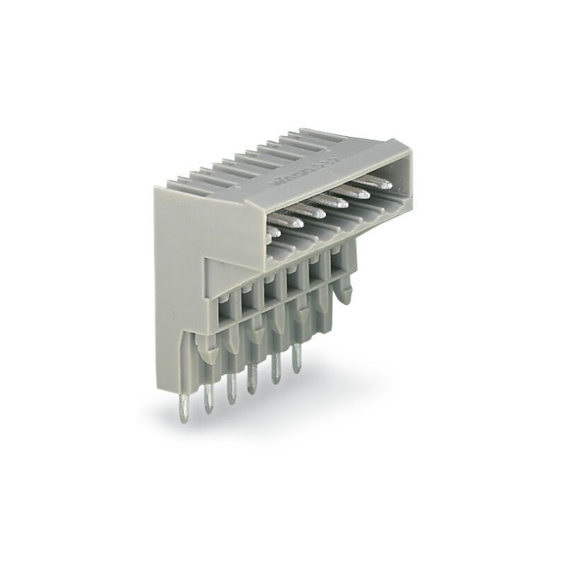 Connettore WAGO maschio 10 poli