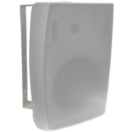 Altoparlante da parete 2 vie 6" 100V 30W