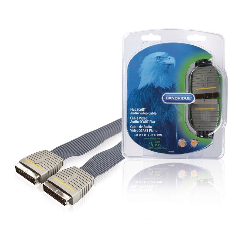Cavo video SCART Maschio- Maschio 5.00 m Blu