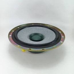 Woofer a doppio cono 6.5" 16.5cm 40W SP675K