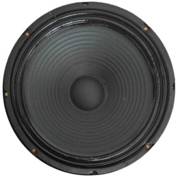 Woofer 10" 255mm 200W 4 Ohm doppio magnete