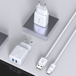 Caricabatterie USB doppia porta 2.4A bianco con cavo Type-C 1m KSC-373