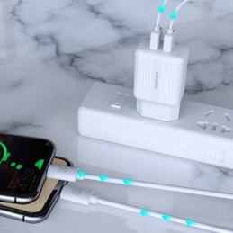 Caricabatterie USB doppia porta 2.4A bianco con cavo Type-C 1m KSC-373