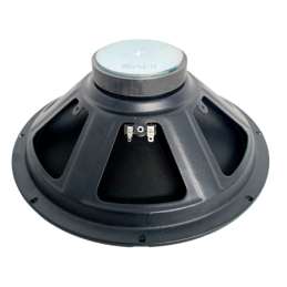 Woofer 12” 300mm 100W 4Ohm