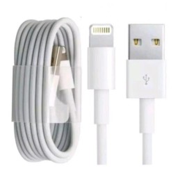 Cavo di Ricarica e Sincronizzazione iPhone 1m Bianco