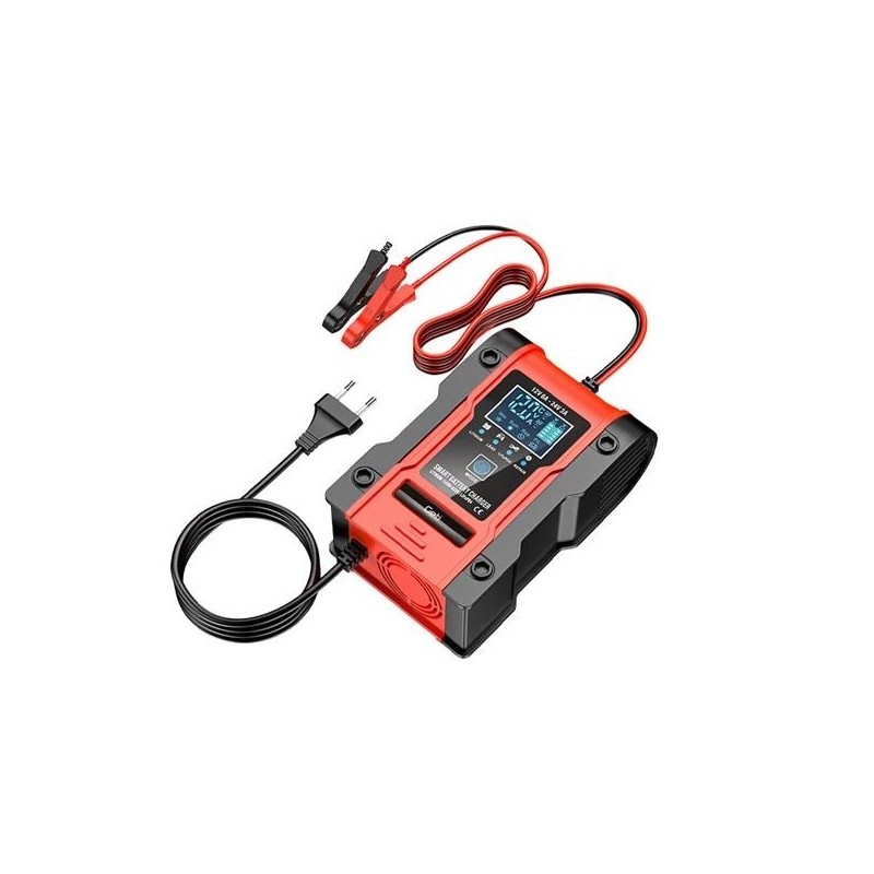 Caricabatterie intelligente 12V-24V 6A-3A
