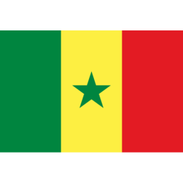 Bandiera di stato Senegal 300x200cm