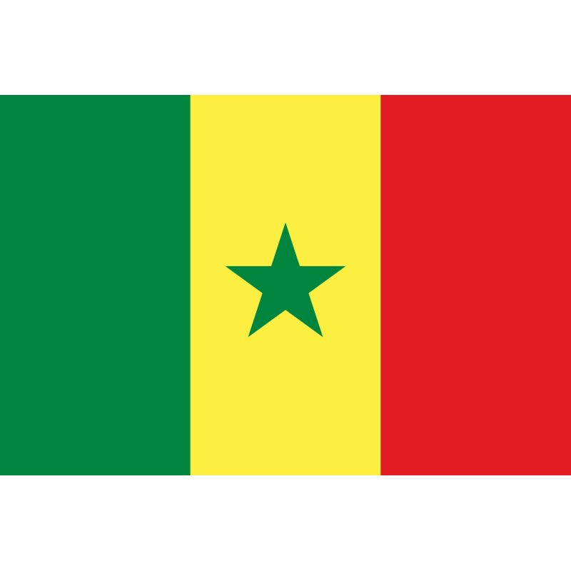 Bandiera di stato Senegal 300x200cm