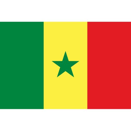 Bandiera di stato Senegal 300x200cm