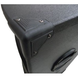 Cassa acustica 600W max