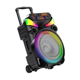 Cassa acustica portatile ricaricabile trolley 15" 40W Luce LED Bluetooth TWS/SD/USB KK-15101