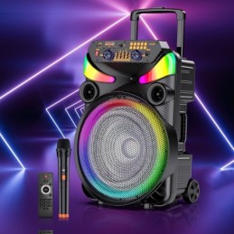Cassa acustica portatile ricaricabile trolley 15" 40W Luce LED Bluetooth TWS/SD/USB KK-15101