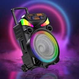 Cassa acustica portatile ricaricabile trolley 15" 40W Luce LED Bluetooth TWS/SD/USB KK-15101