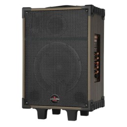 Cassa acustica portatile ricaricabile trolley 10" 80W Bluetooth/SD/USB