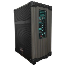 Cassa acustica portatile ricaricabile trolley 10" 80W Bluetooth/SD/USB