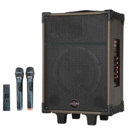 Cassa acustica portatile ricaricabile trolley 10" 80W Bluetooth/SD/USB