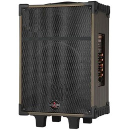 Cassa acustica portatile ricaricabile trolley 12" 80W Bluetooth/SD/USB