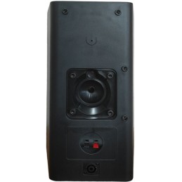 Cassa acustica passiva professionale 2 vie 200W