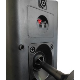 Cassa acustica passiva professionale 2 vie 200W