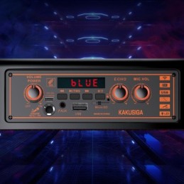 Cassa acustica ricaricabile 2x8" 30W Bluetooth/USB/AUX/SD con microfono KK-8202