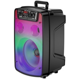 Cassa acustica ricaricabile 8" 10W luci LED Bluetooth/FM/USB KSC-688