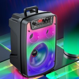 Cassa acustica ricaricabile 8" 10W luci LED Bluetooth/FM/USB KSC-688