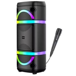 Cassa acustica ricaricabile 2x8" 40W luci LED Bluetooth/FM/USB con microfono