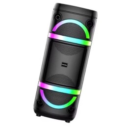 Cassa acustica ricaricabile 2x8" 40W luci LED Bluetooth/FM/USB con microfono