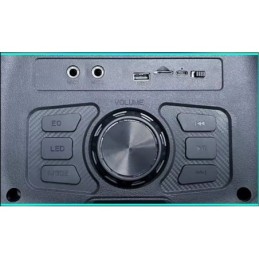 Cassa acustica ricaricabile 2x8" 40W luci LED Bluetooth/FM/USB con microfono