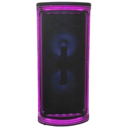 Cassa acustica ricaricabile 2x6" Bluetooth USB/Scheda SD con luci LED