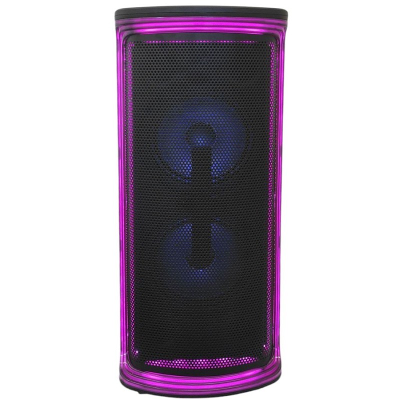 Cassa acustica ricaricabile 2x6" Bluetooth USB/Scheda SD con luci LED