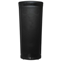 Cassa acustica ricaricabile 2x6" Bluetooth USB/Scheda SD con luci LED