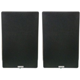 Coppia casse acustiche 180W 8OHM NINTAUS ZM-82M