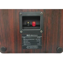 Coppia casse acustiche 180W 8OHM NINTAUS ZM-82M