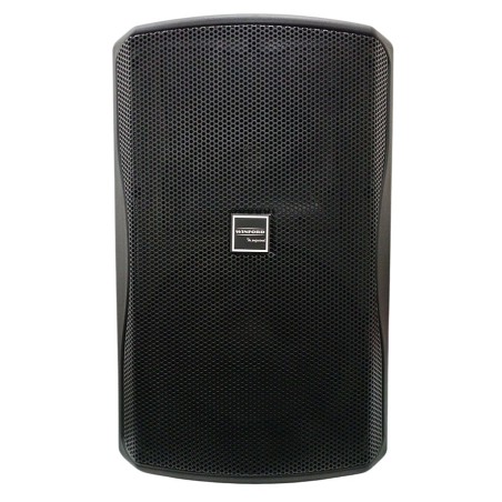 Cassa acustica passiva 200W 8OHM ZX-1i-90
