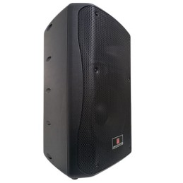 Cassa acustica passiva 250W 8 Ohm
