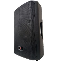 Cassa acustica passiva 250W 8 Ohm