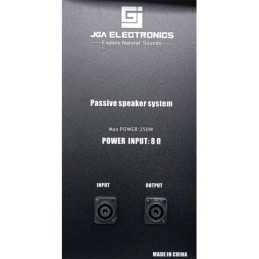 Cassa acustica passiva 250W 8 Ohm