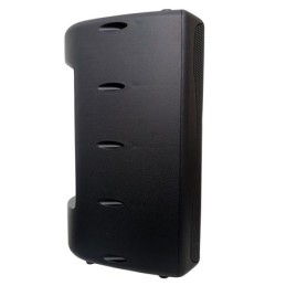 Cassa acustica passiva 250W 8 Ohm