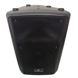 Cassa acustica passiva 250W 8 Ohm