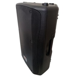 Cassa acustica passiva 250W 8 Ohm