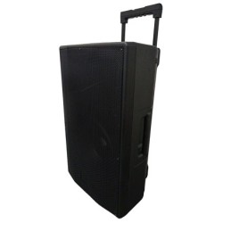 Cassa acustica passiva professionale 300W 8 OHM W28A