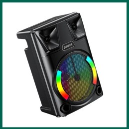 Cassa acustica ricaricabile luci LED 8" 20W Bluetooth/USB/FM JD032