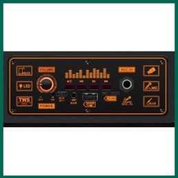 Cassa acustica ricaricabile luci LED 8" 20W Bluetooth/USB/FM JD032