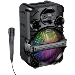 Cassa acustica ricaricabile con microfono 8" 16W KK-8106
