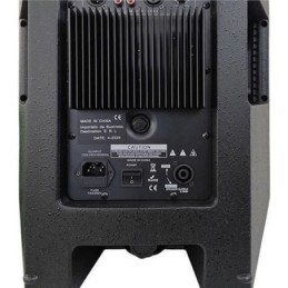 Cassa acustica amplificata 120W 12" Bluetooth/USB/Scheda SD Effetti DSP
