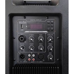 Cassa acustica amplificata 120W 12" Bluetooth/USB/Scheda SD Effetti DSP