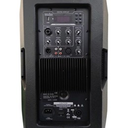 Cassa acustica amplificata 120W 12" Bluetooth/USB/Scheda SD Effetti DSP