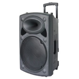 Cassa acustica amplificata 12” con microfono e telecomando Bluetooth/Radio FM